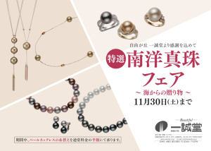 スクリーンショット 2024-10-31 20.12.40