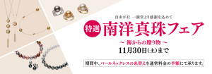 1025パールフェアーバナー