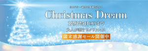 1120クリスマスバナー